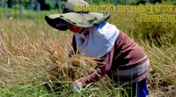 Indonesia morning news for February 22