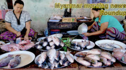 Myanmar morning news for February 20