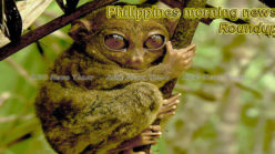 Philippines morning news #8-19 Philippines morning news for March 1
