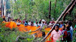 Buddhist monks come to protect Prey Lang forest (video)