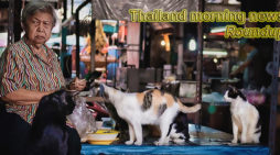 Thailand morning news for February 22