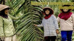 Indonesia morning news for April 11