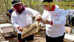 Indonesia morning news for May 24