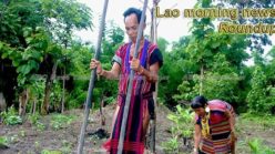 Lao morning news for May 17