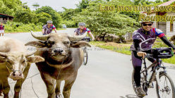 Lao morning news for June 7
