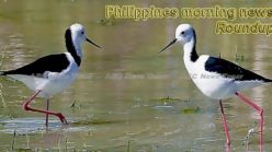 Philippines Morning New #18-19 Philippines morning news for May 10