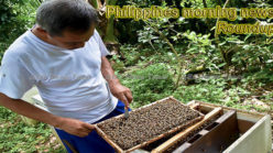 Philippines Morning News #20-19 Philippines morning news for May 24