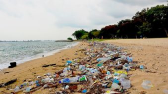 images of plastic pollution have become commonplace
