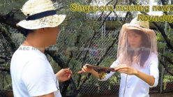 Singapore morning news for May 24