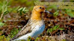 Vietnam morning news for May 10