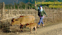 Lao morning news for June 28