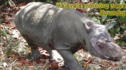 Malaysia morning news for July 12