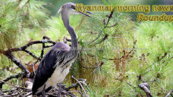 Myanmar morning news for July 12