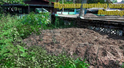 Myanmar morning news for August 21
