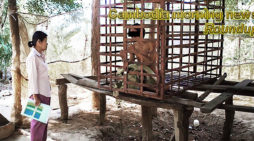Cambodia morning news for October 8