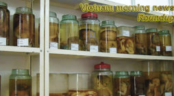 Vietnam morning news for November 28