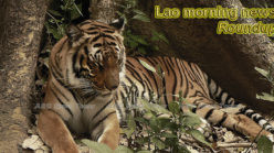 Lao morning news for January 3