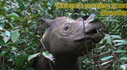 Malaysia morning news for January 1