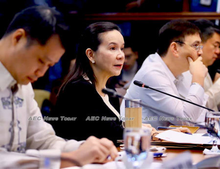 Grace Poe: “What kind of law or bill will we pass sans support from a through study on the matter?”