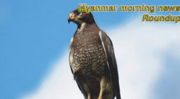 Myanmar morning news for January 31