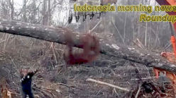 Indonesia morning news for March 6