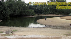 Singapore morning news for March 27