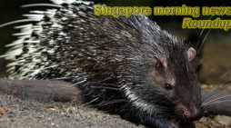 Singapore morning news for March 6