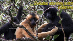 Vietnam morning news for March 6