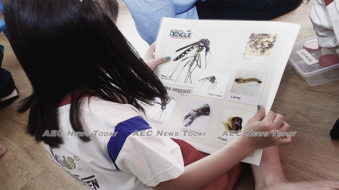 Double whammy: Indonesia DHF cases rise amid COVID-19 pandemic