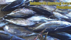 Indonesia morning news for May 1