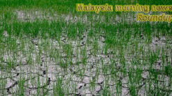 Malaysia morning news for June 19
