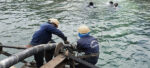 Undersea cable repair 700 | Asean News Today