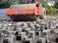 Malaysia crushes cryptocurrency mining rigs with road compactor for power theft (video)